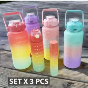 2L SETX3 BOTELLA DE AGUA 4940303-50