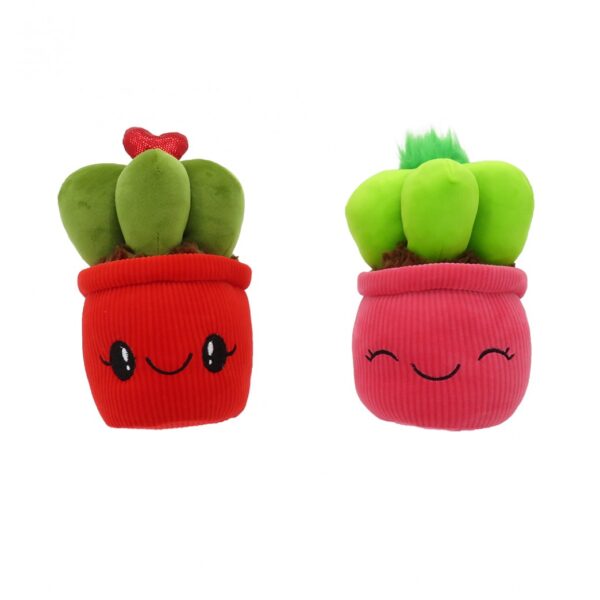 CACTUS 9"