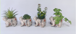 Planta Figura Animal