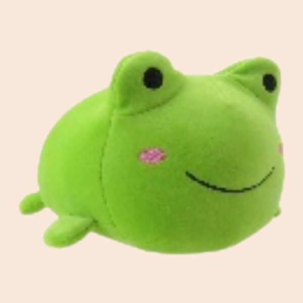 ALMOHADA RANA 8"
