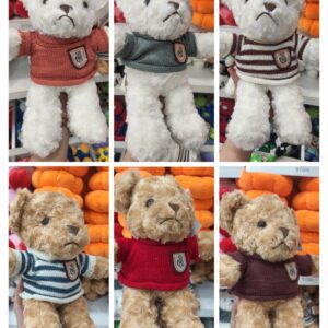 Oso con ropa