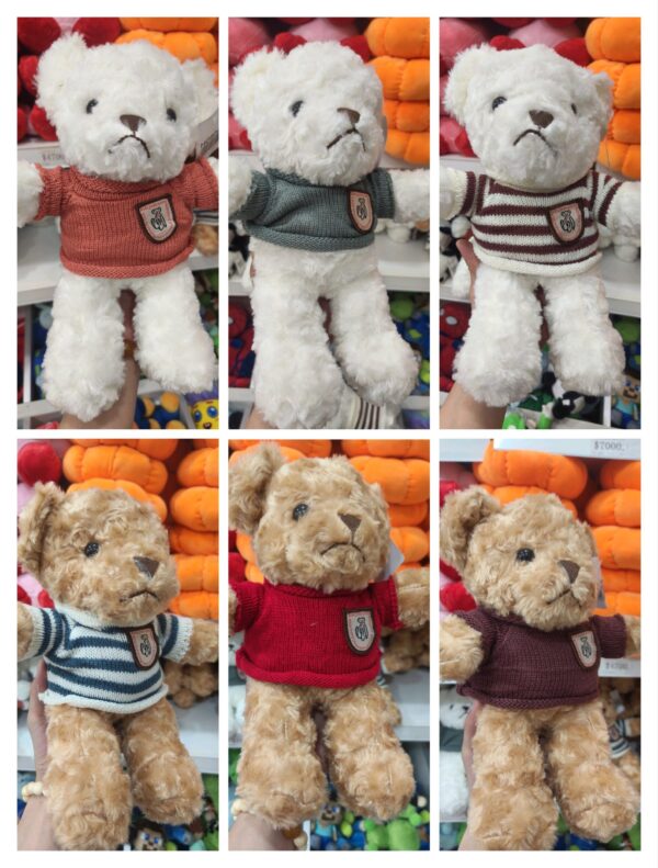 Oso con ropa
