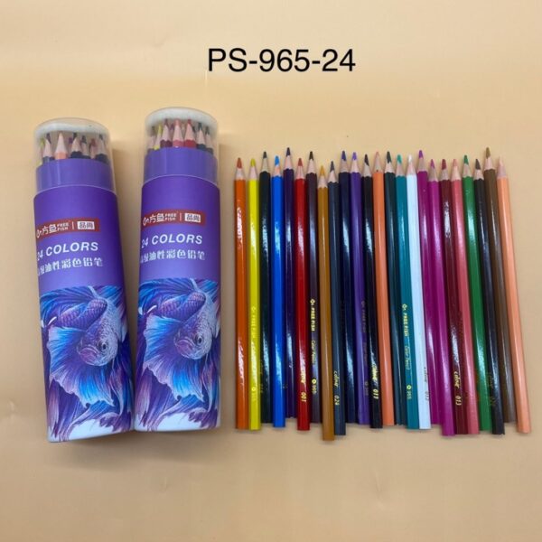 LAPIZ 24COLORES 965-24