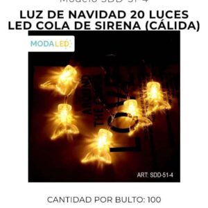 LUZ LED NAVIDAD 20 LUCES SDD-51-4-100