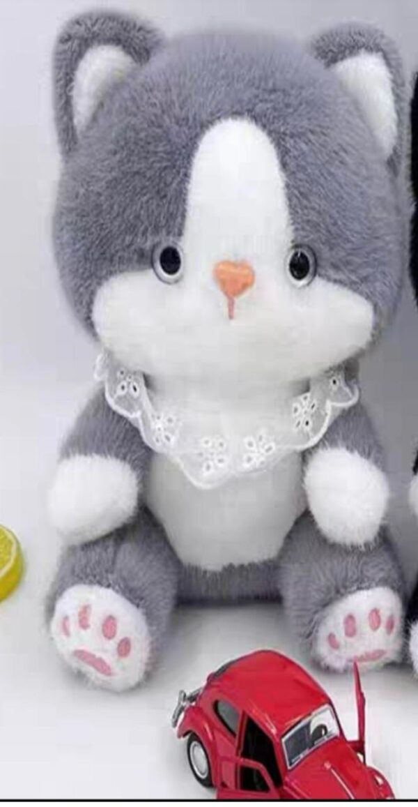 Gato 20cm