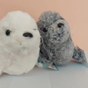 FOCA 9"