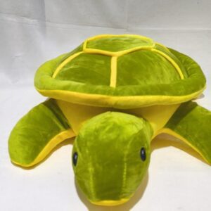 Tortuga 40cm