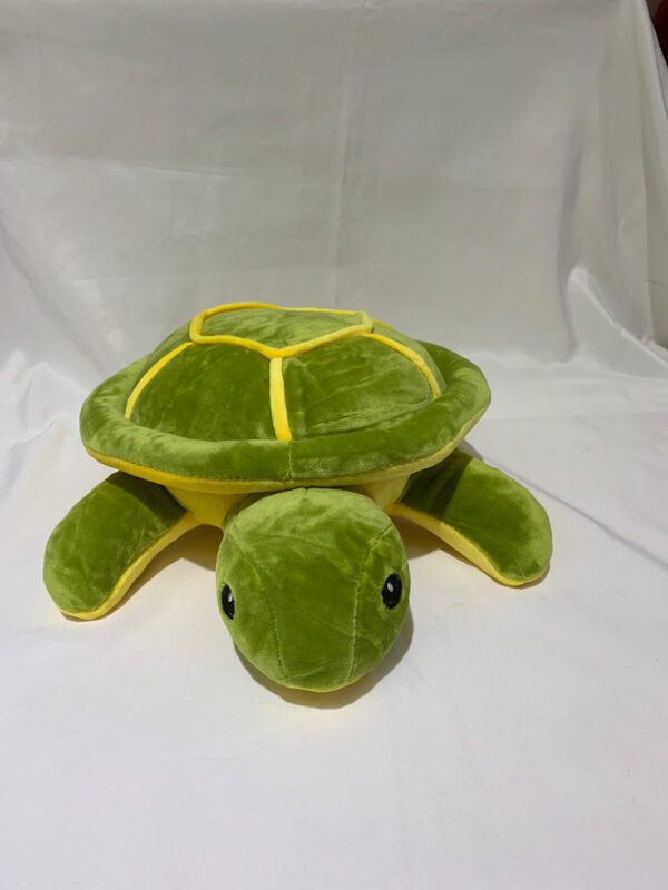 Tortuga 25cm