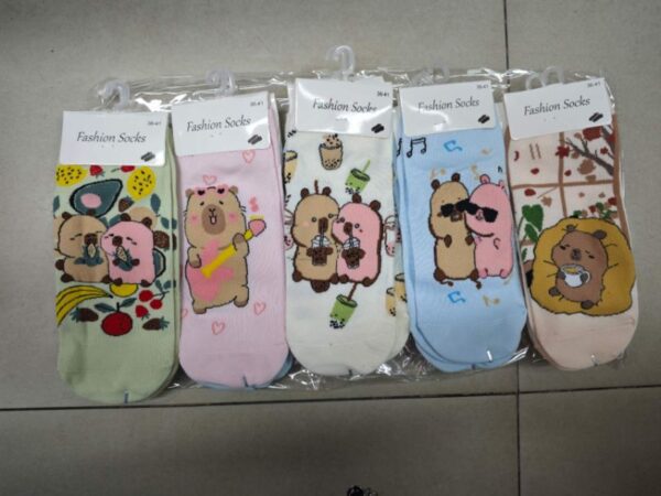 FINAL MEDIAS CAPIBARA *10