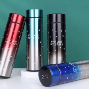 500ML TERMO C/TEMPERATURA 4931370