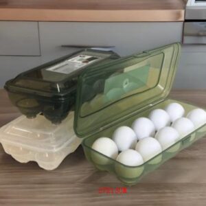 27X13CM CAJA PARA 10 HUEVOS 4937958