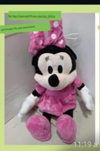 FINAL MINNIE ROSA 1M2 .JPG