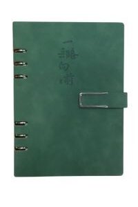 CUADERNO RAYADO ANILLADO RECARGABLE A5 VERDE 7820 (A50001)
