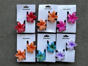 Mini Broches Hawaii