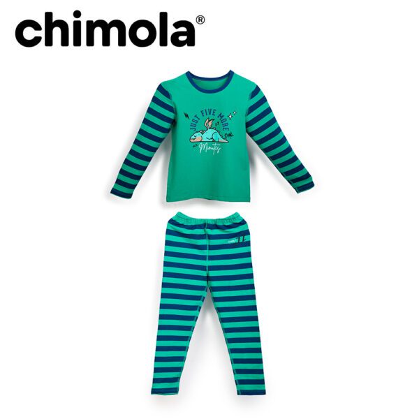 Pijama 2 Piezas Manga Larga Dragon Varios Talles