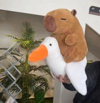 CAPIBARA CON PATO QUE SE ESTIRA 25CM